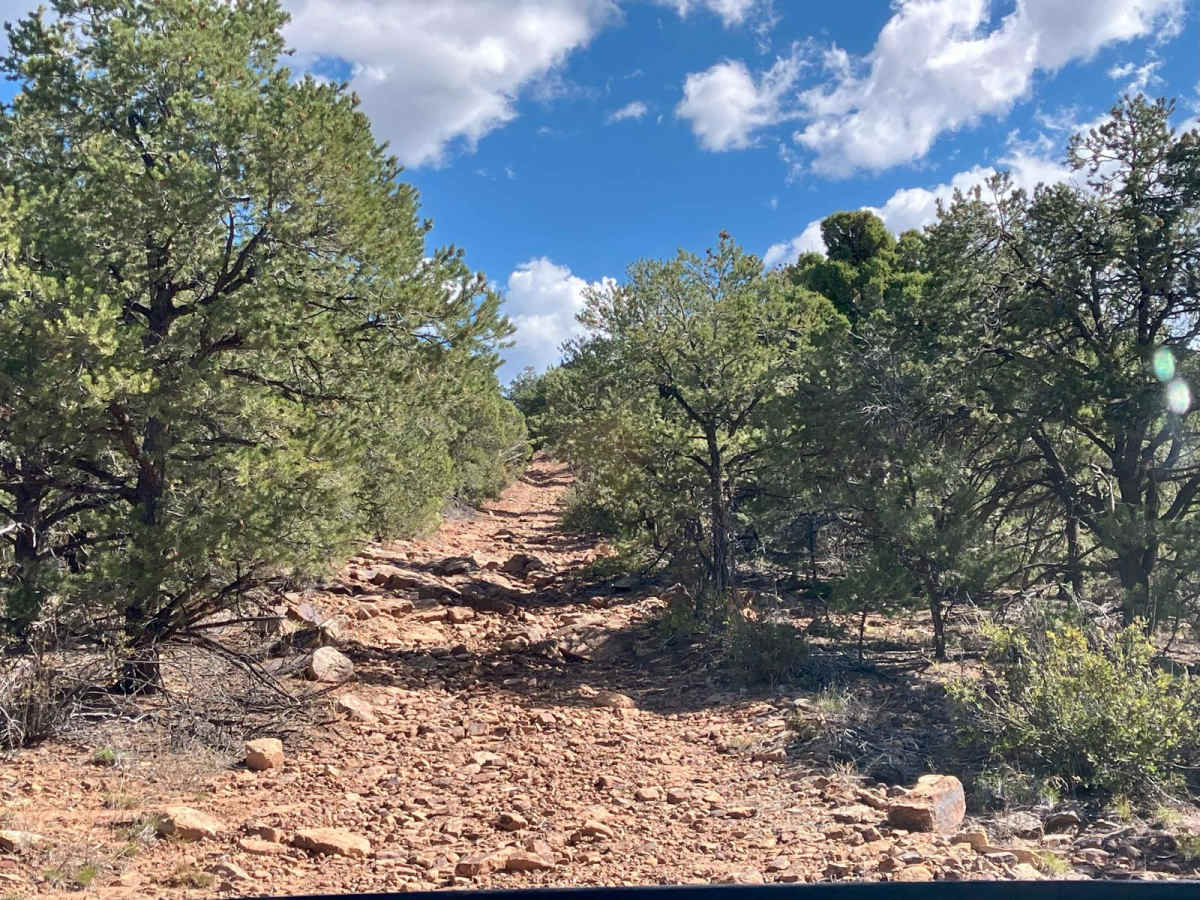 Burro Creek photo 6