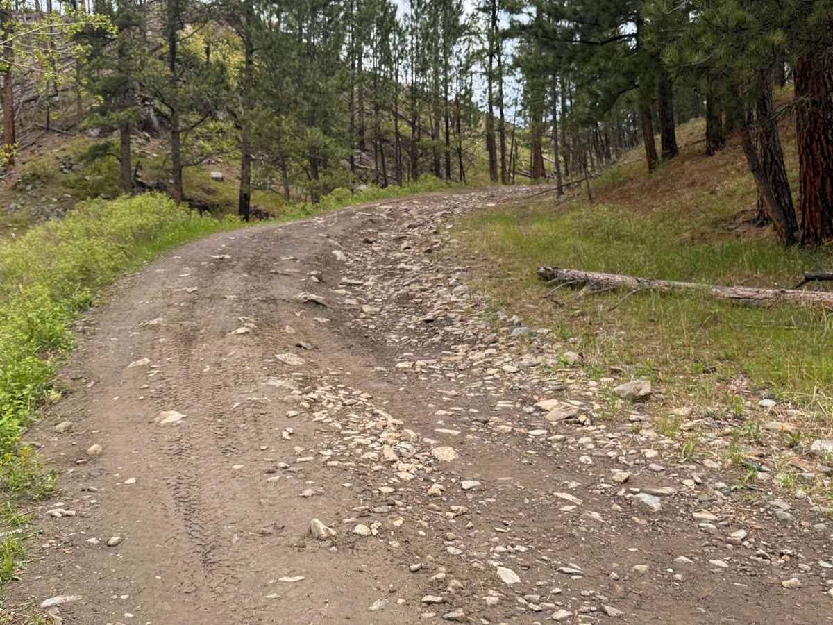 Ruby Gulch Road - FS 738 photo 6