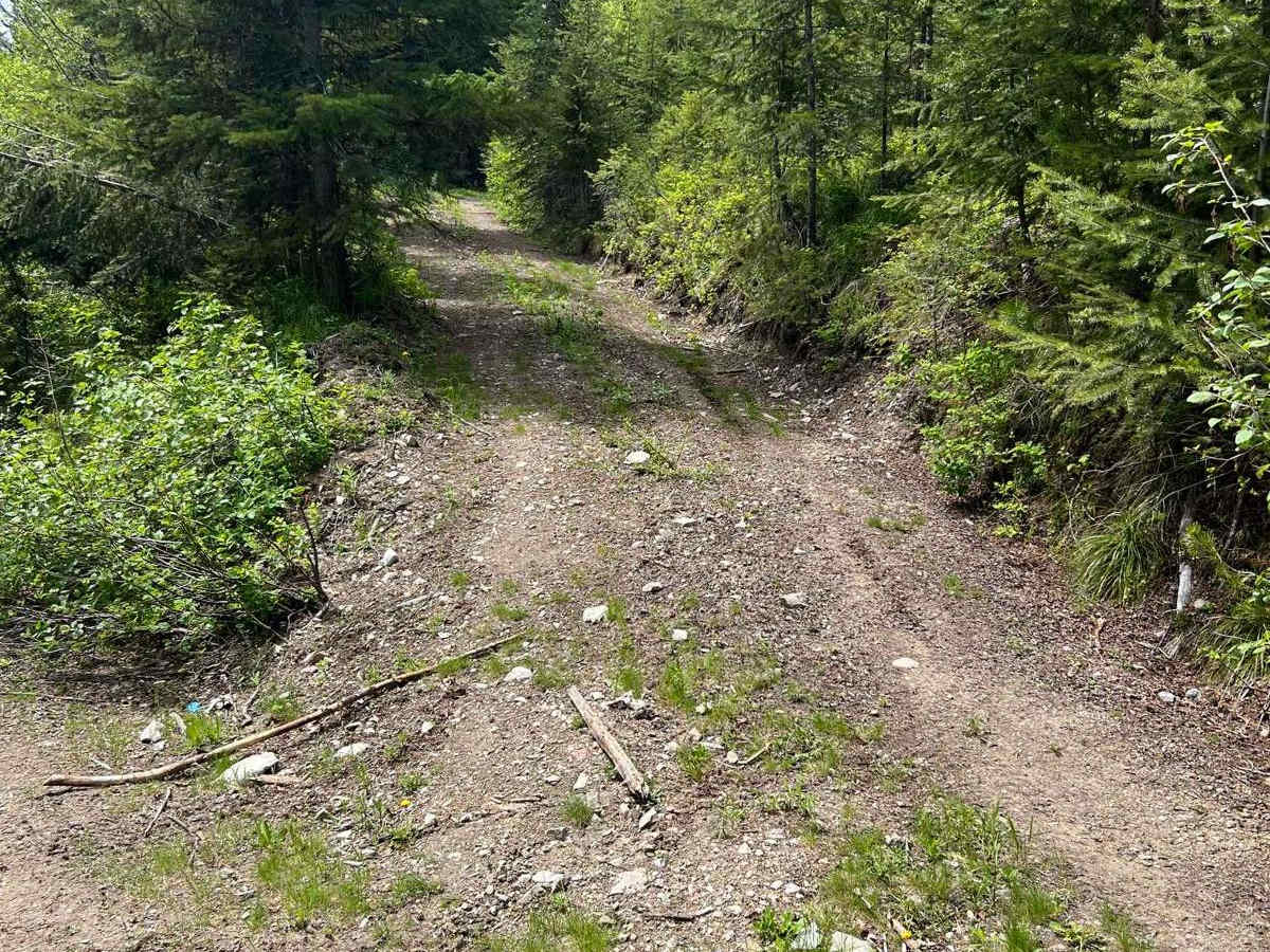 Mill Creek photo 5