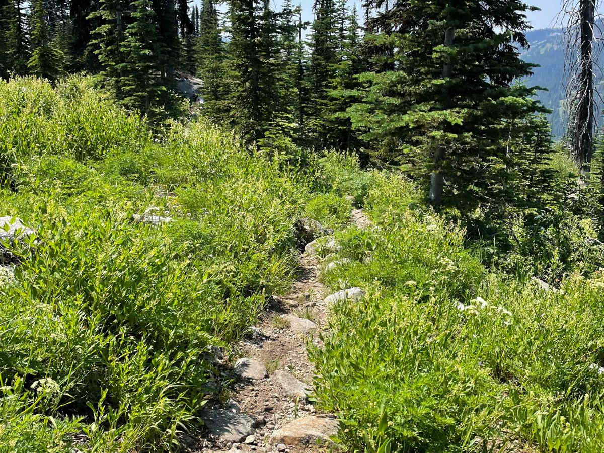 Hidden Lake Loop trail photo