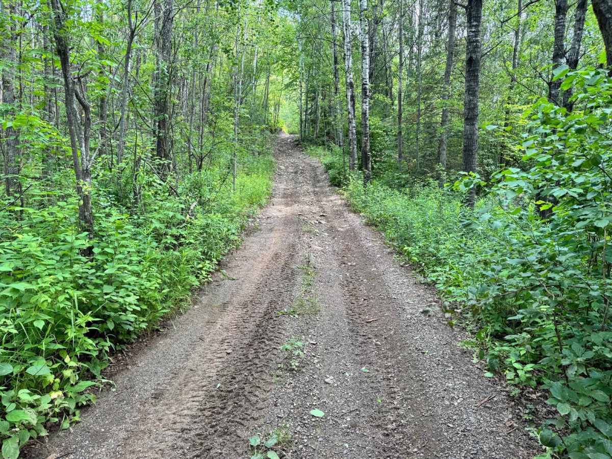 Mud Run Bypass photo 4