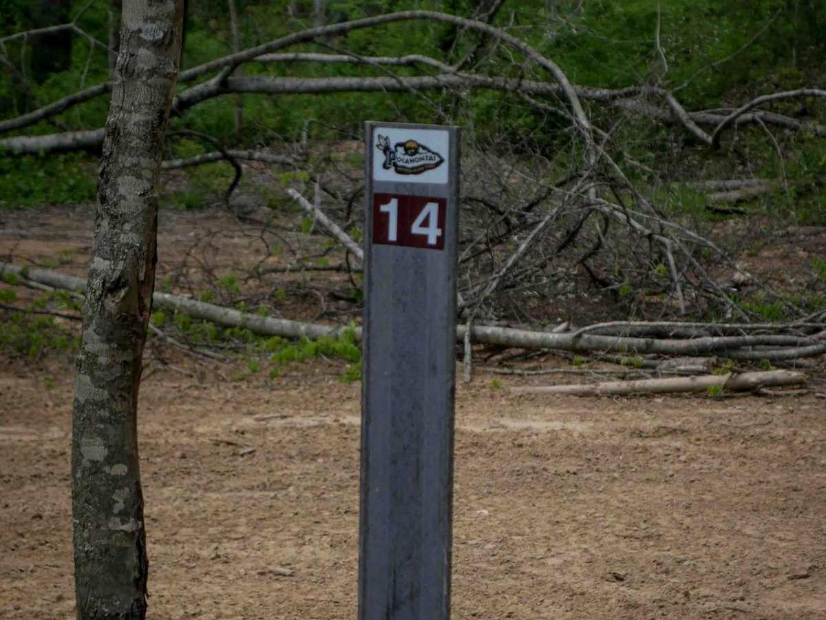 P14 photo 6