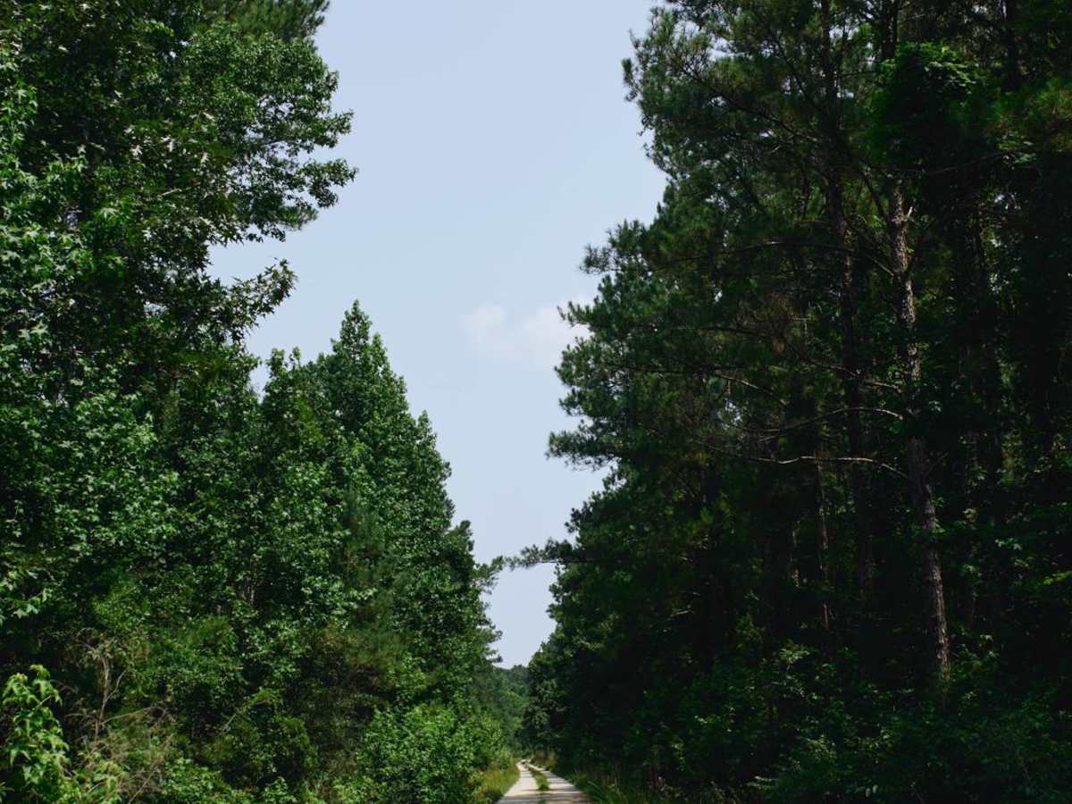 Kinsey Road - FSR 226 photo 3