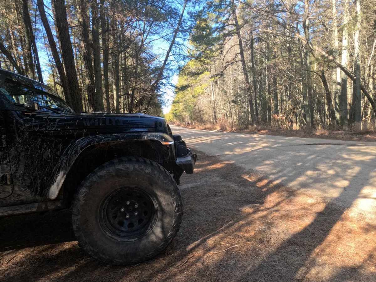 Mount Sandy Ridge Road photo 4