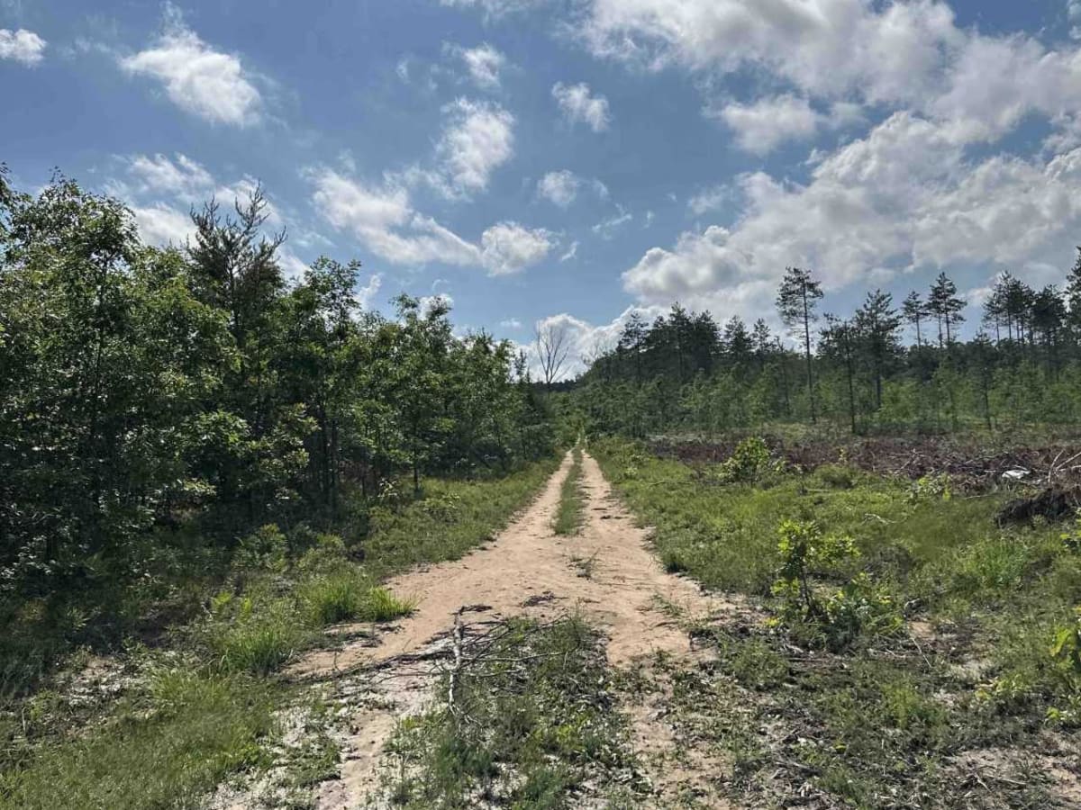 Mixed Bag trail photo