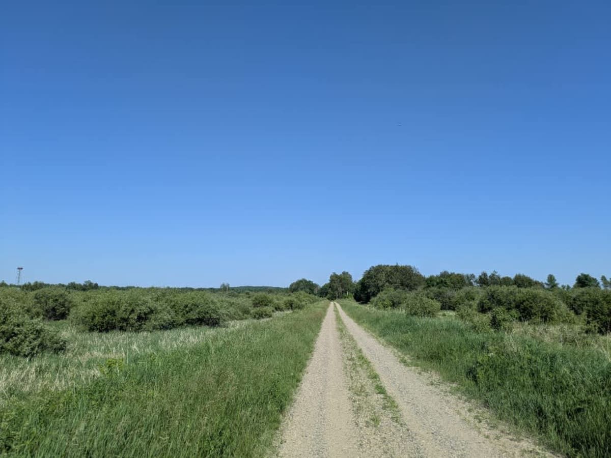 76th Avenue Northeast / East Lake Rice Spur trail photo