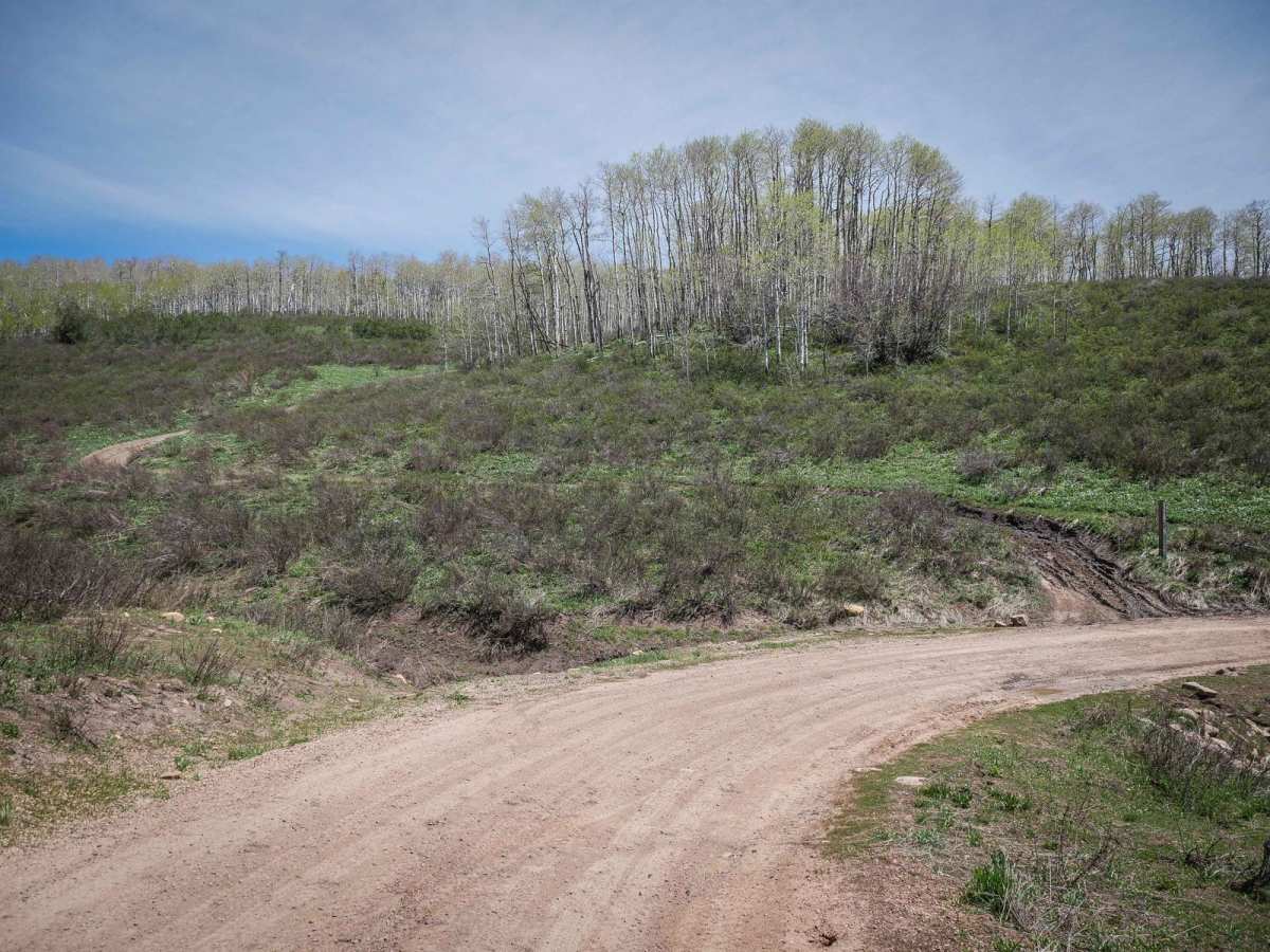 Gwt Strawberry Ridge ATV trail photo