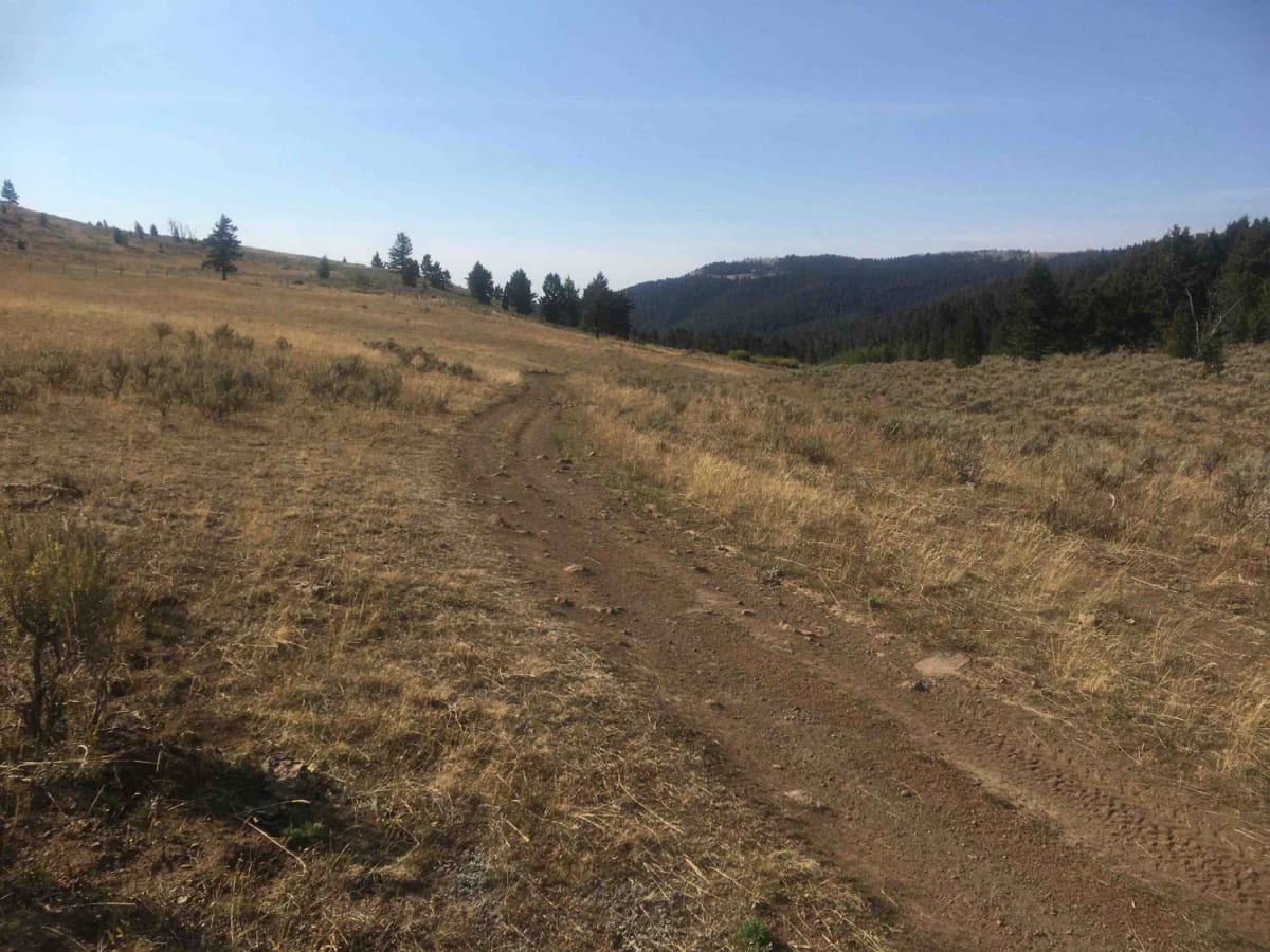 Camas Creek Trail photo 2