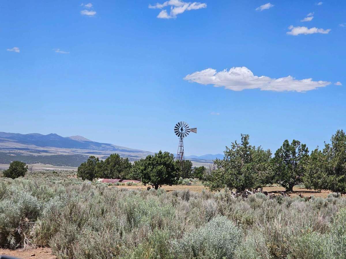 Big Mountain trail photo