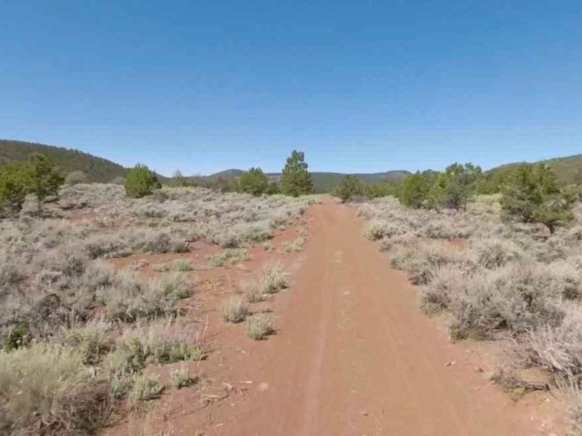 Slide Mountain Road BLM 1030 photo 5