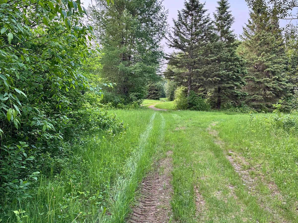 Michaud Woods photo 5