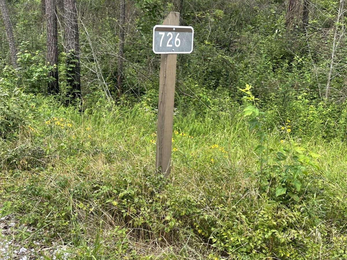 USFS 726 - Phalen Spur trail photo
