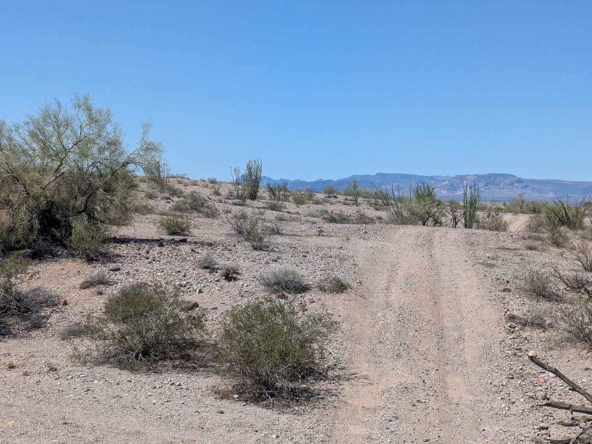 RV Oasis Bypass West photo 4