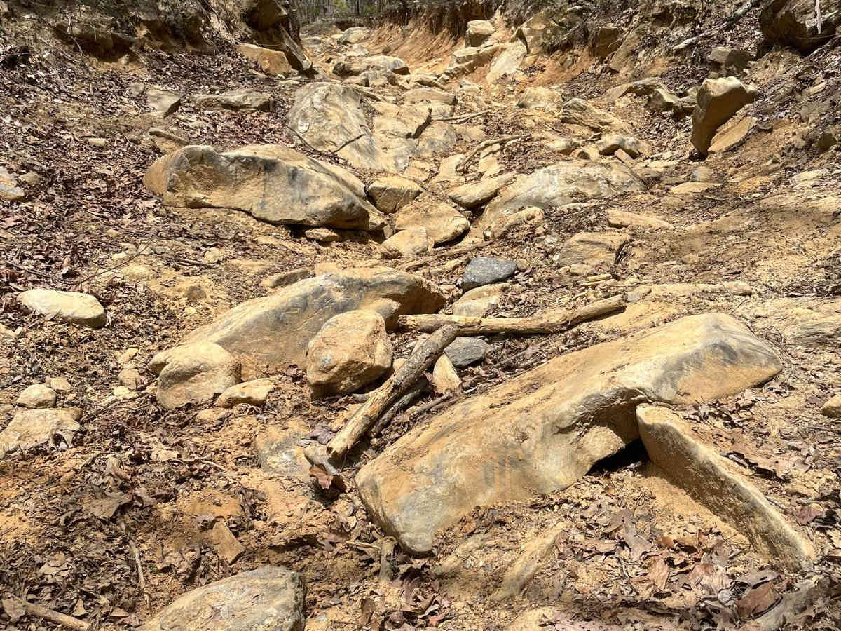 Rattlesnake trail photo