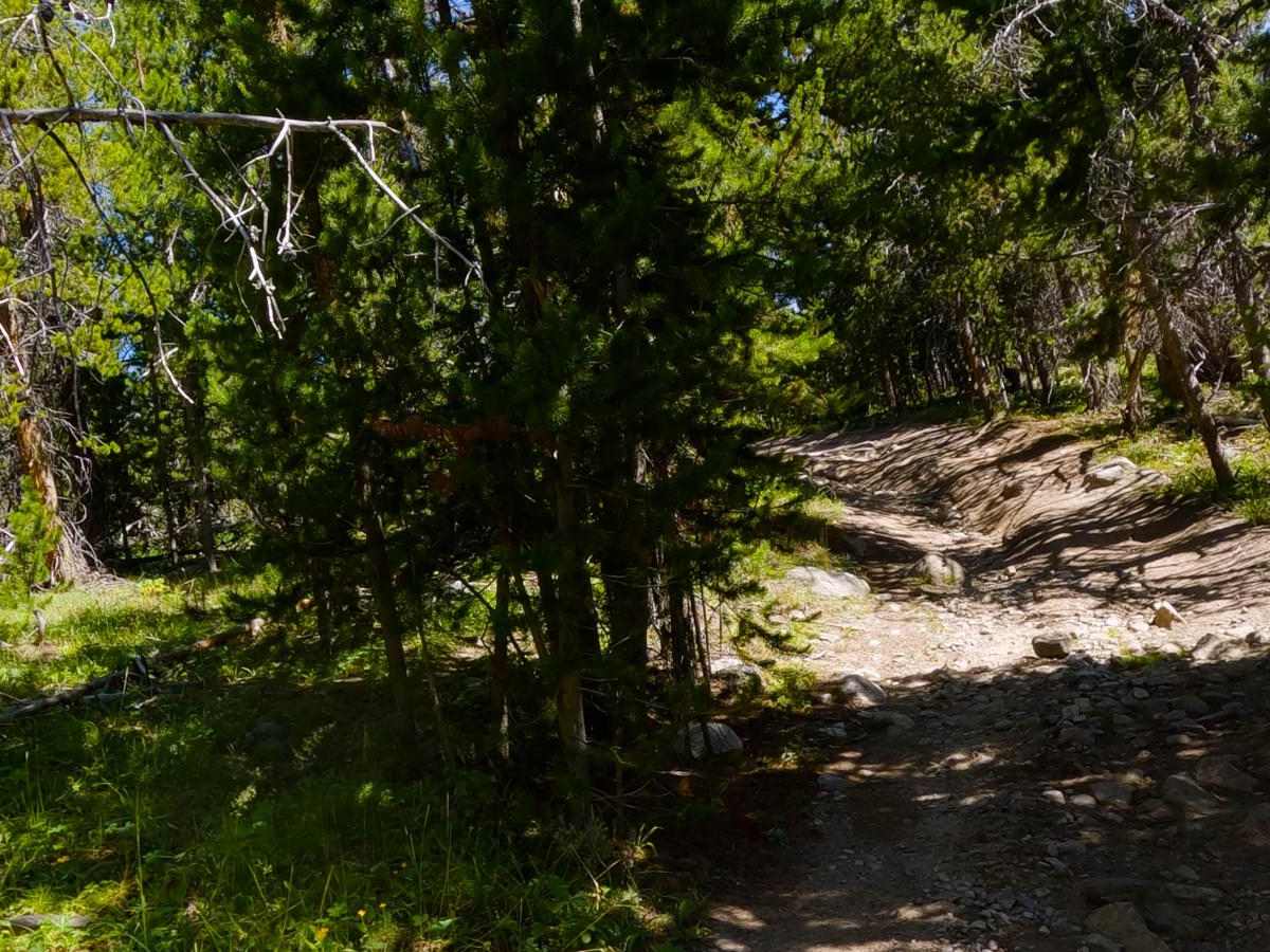 Grind up Pinon Pass photo 6