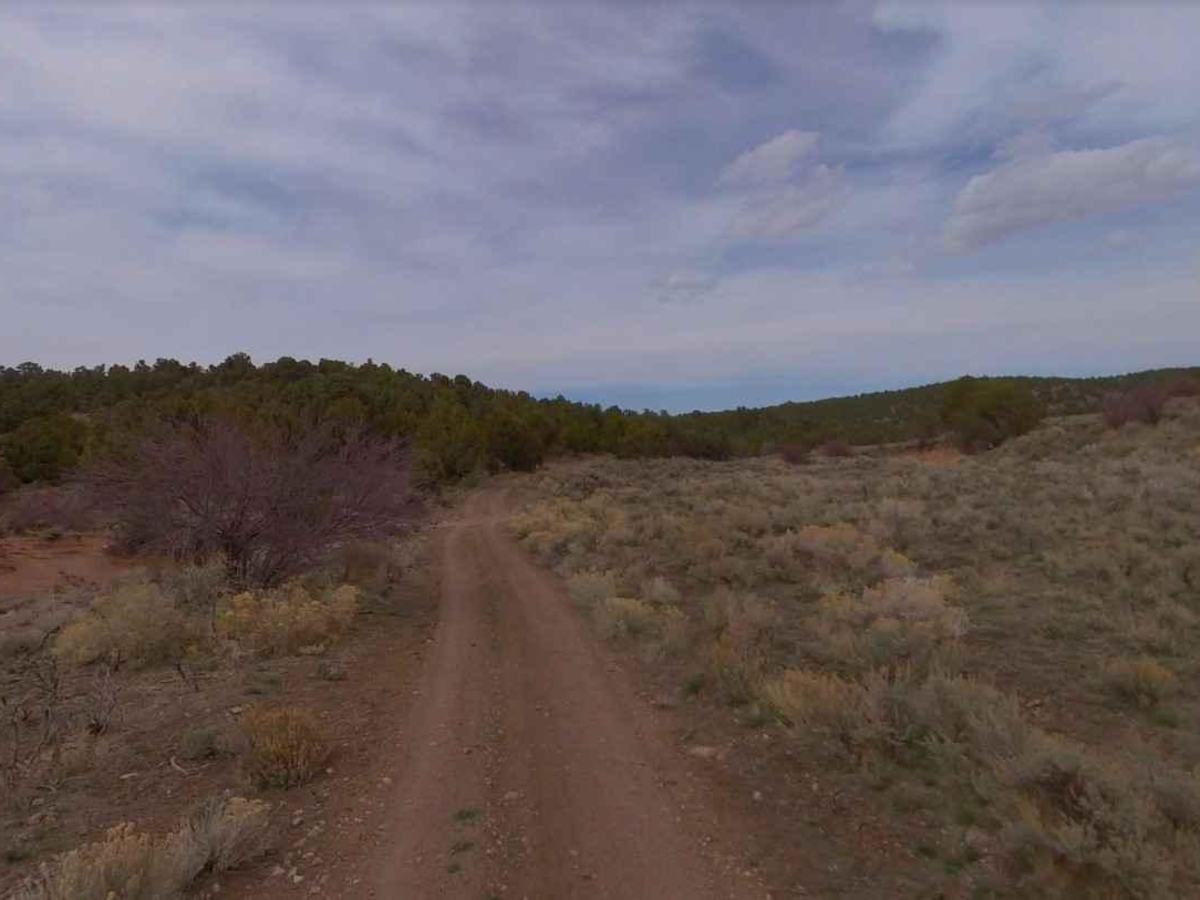 Water Canyon-FR30002 photo 4