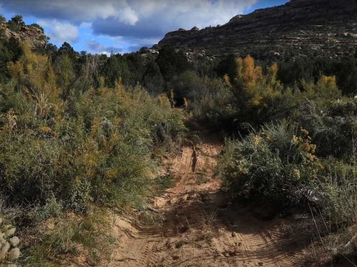 Beef Basin Wash - San Juan County B199 photo 5