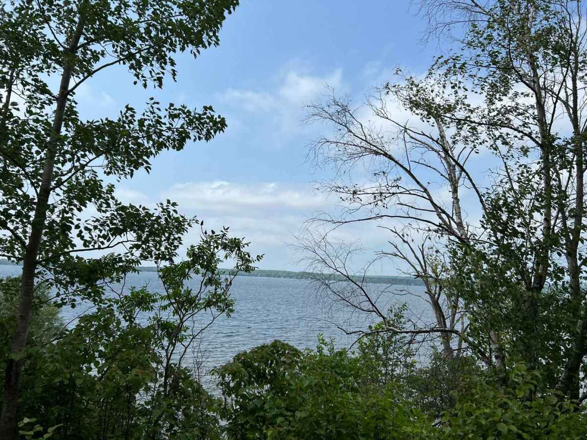 Wolf River State Trail trail photo