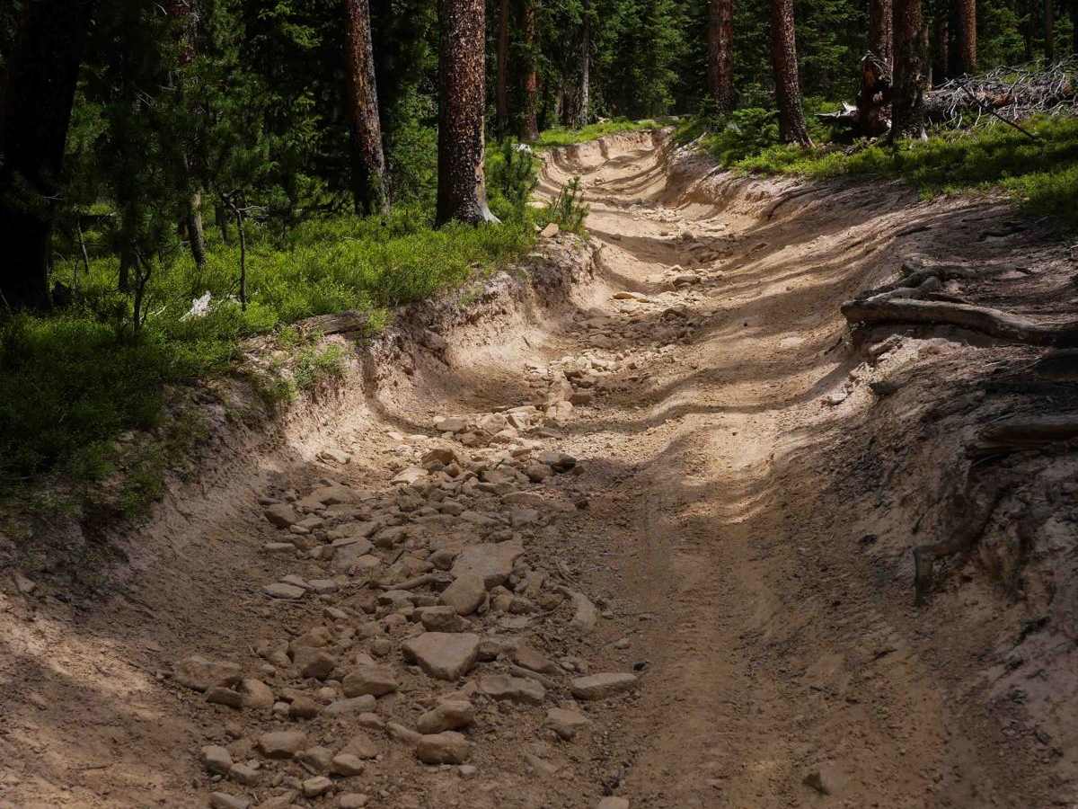 Illinois Pass Trail photo 6