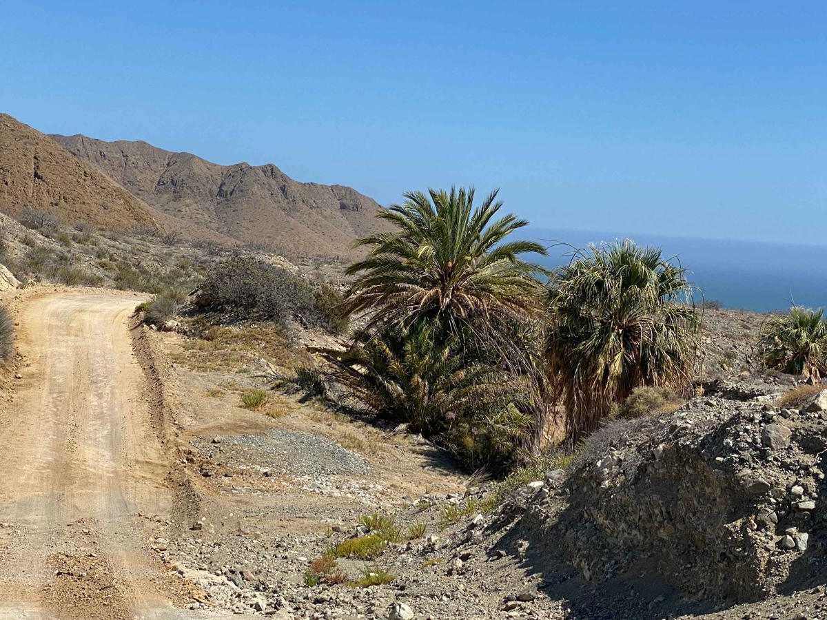 High Coastal Route to Cliffside Fishing Camp photo 6