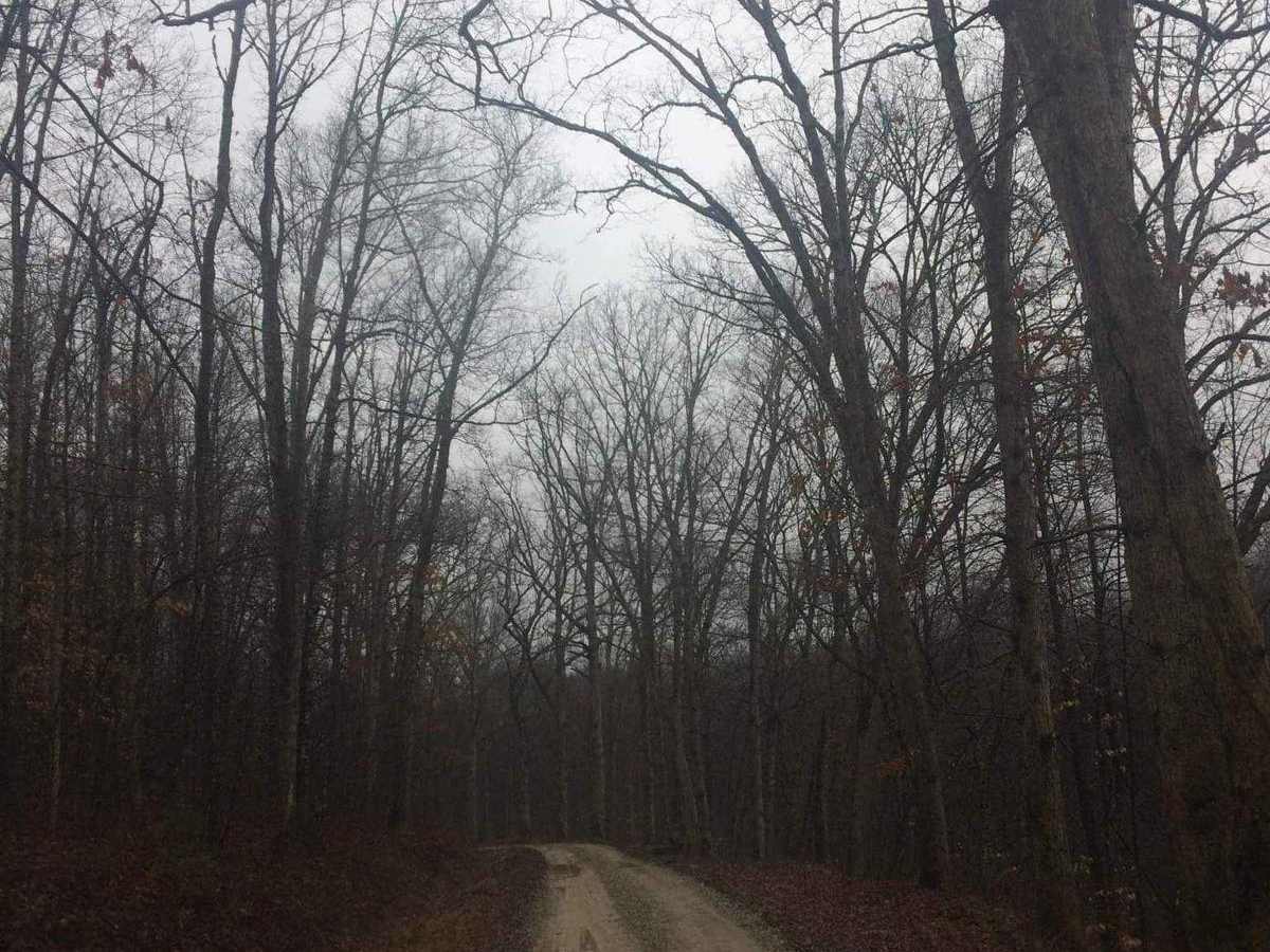 Indian Run photo 3
