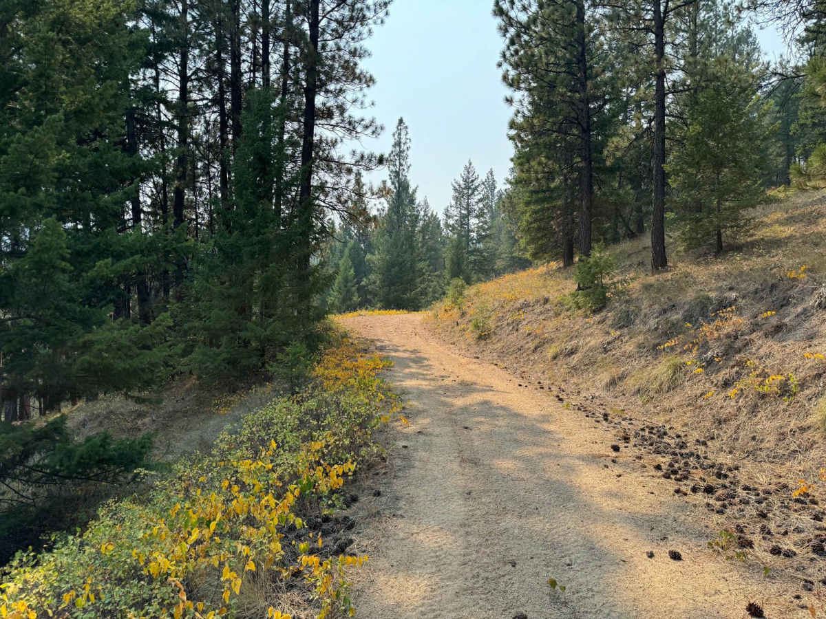 Burnt Ridge photo 4