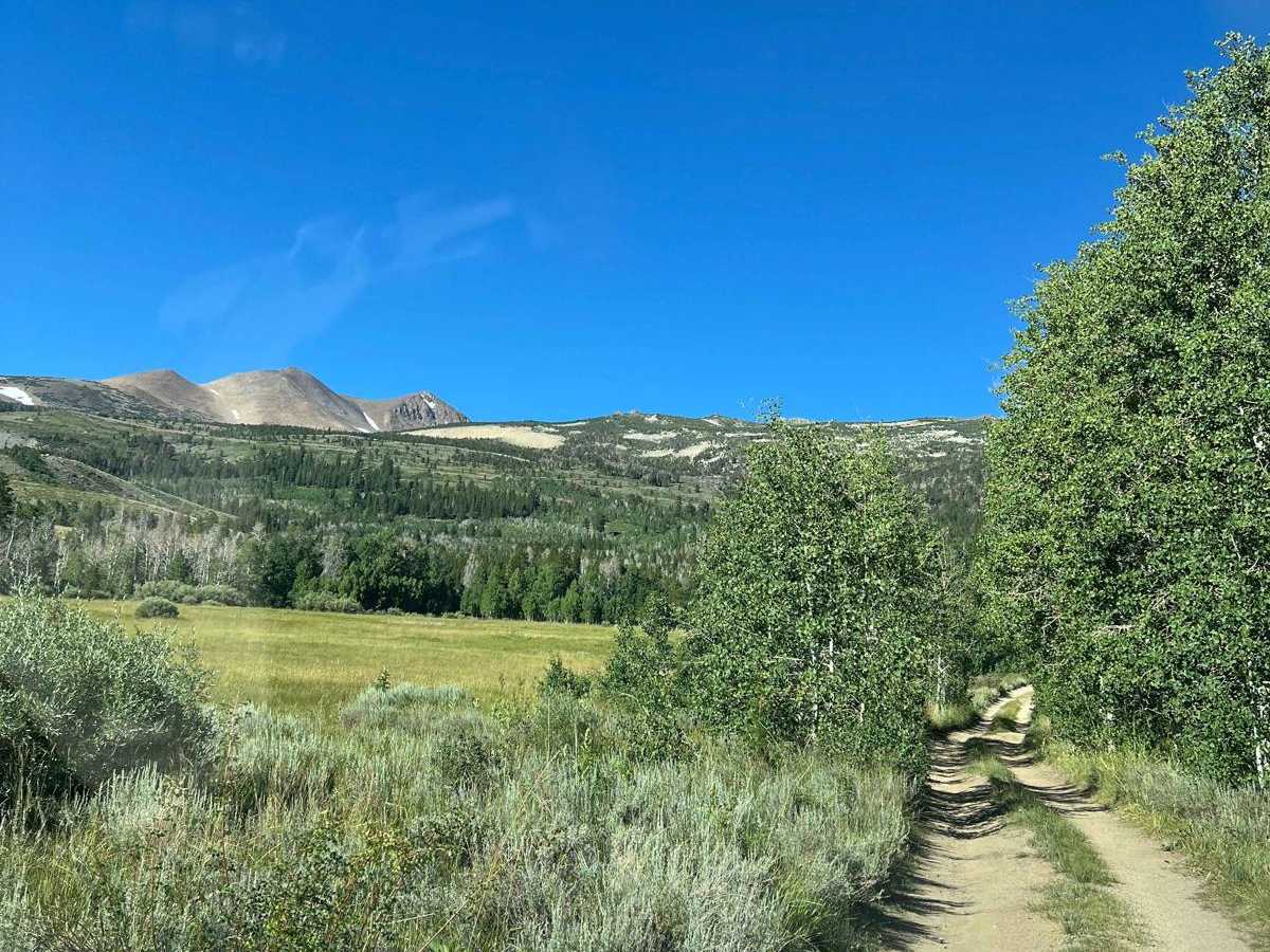 Dunderburg Mill trail photo