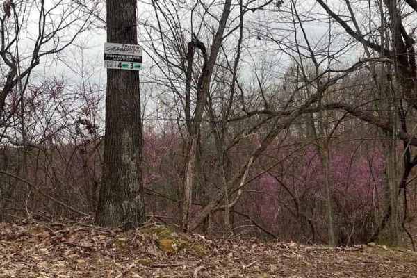 Trail 3