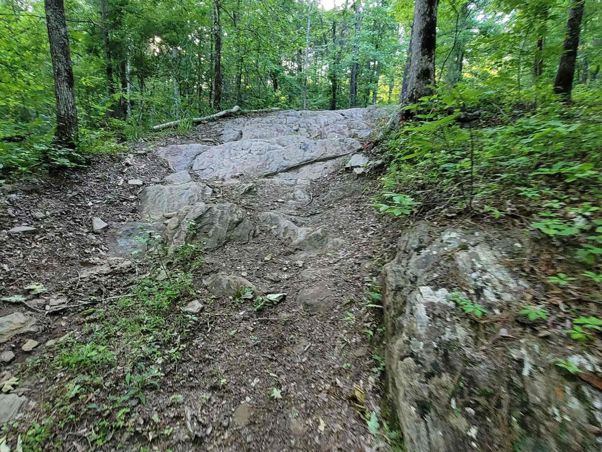 Crow's Nest Bypass trail photo