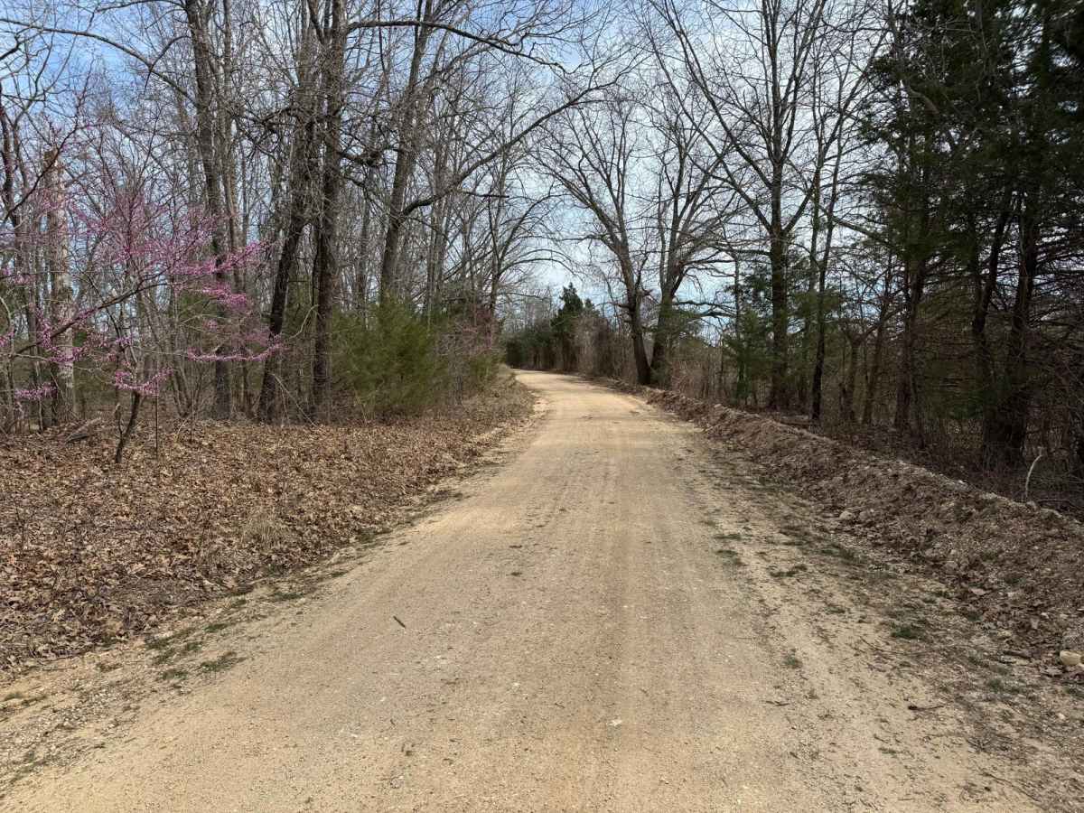 County Road 943 photo 4