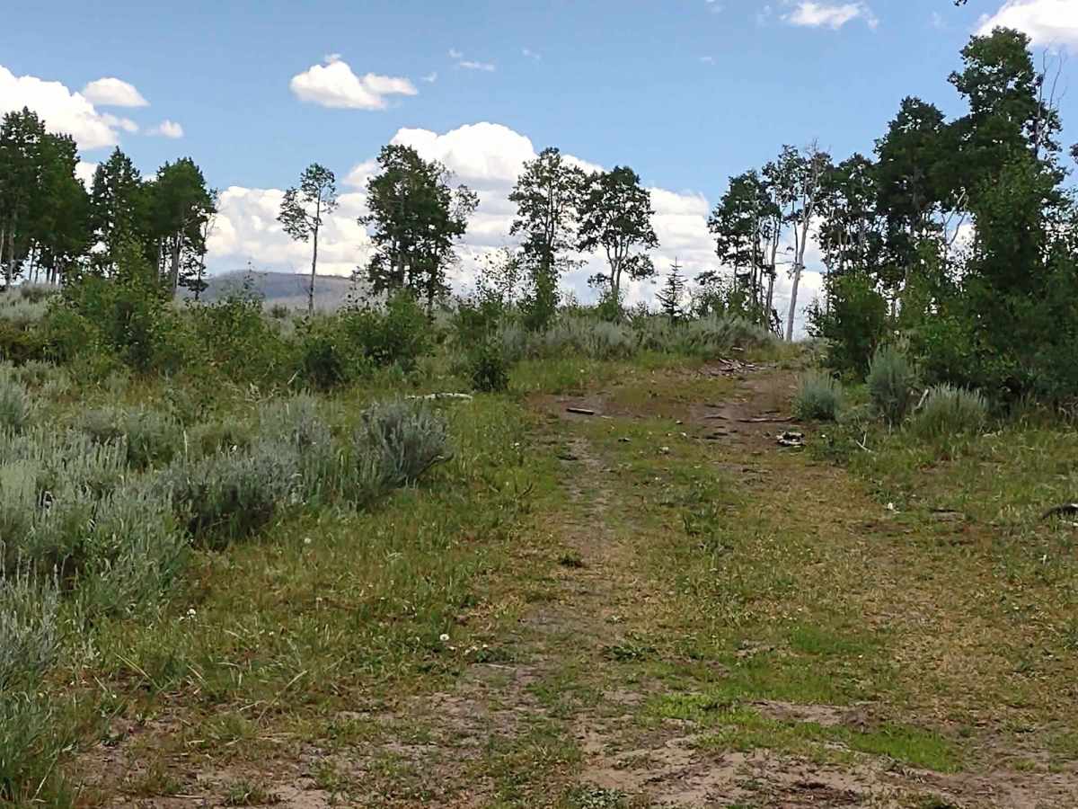 Papa Bear Spur Loop (FS 42453, 42449, 42450) photo 2