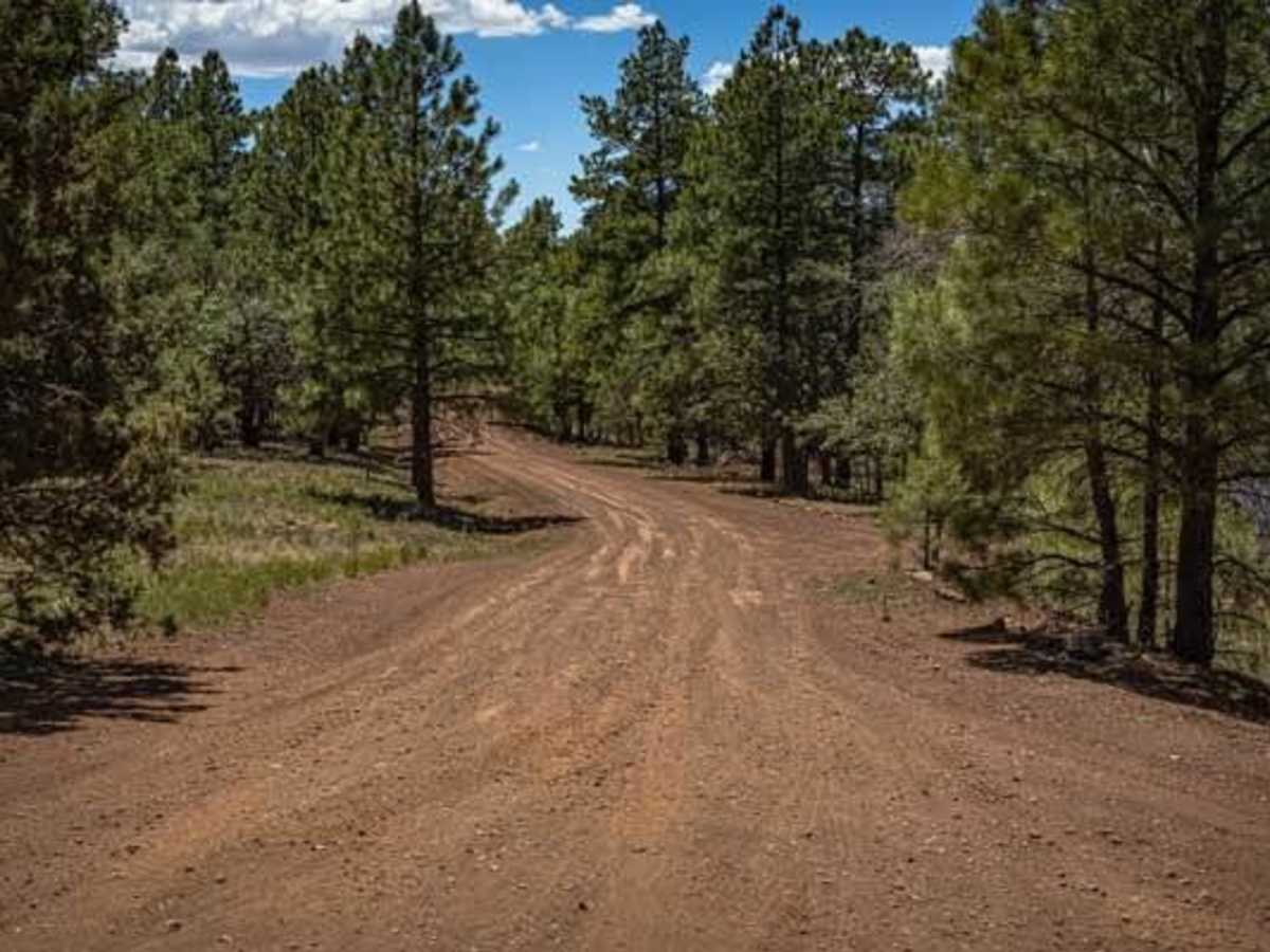 FR15 trail photo