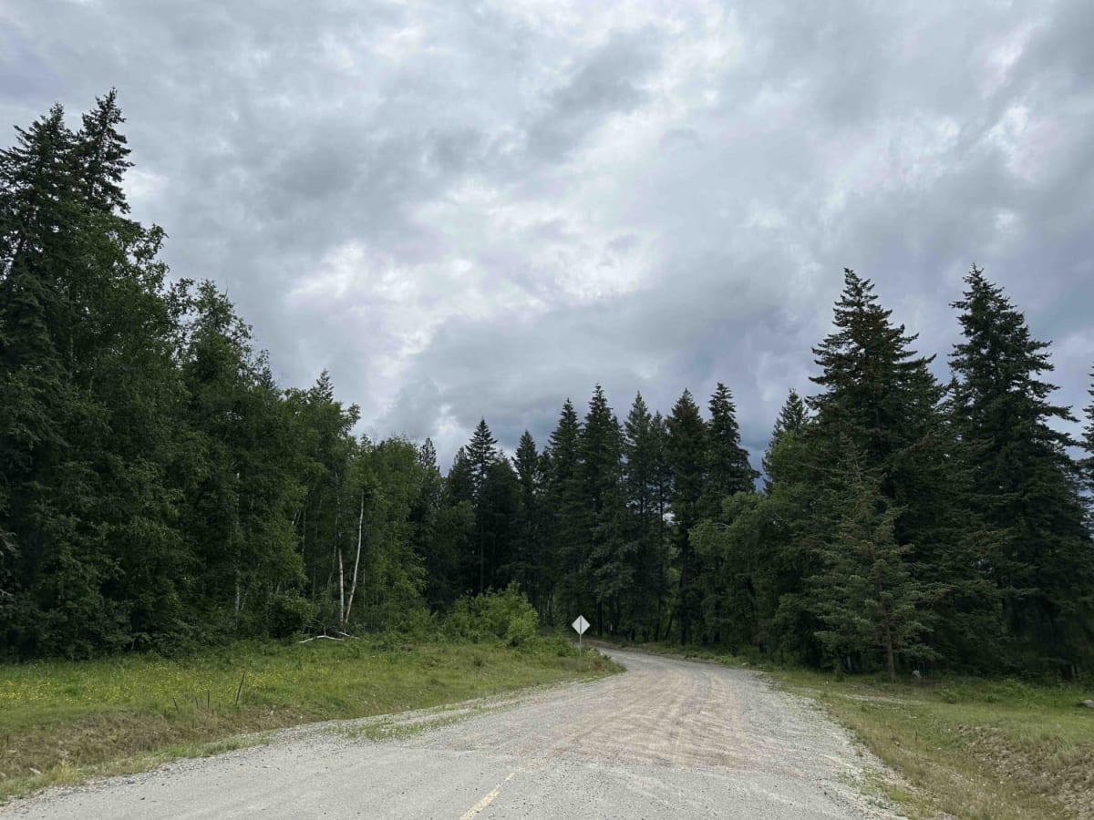 Boulder Mountain Access Road photo 5