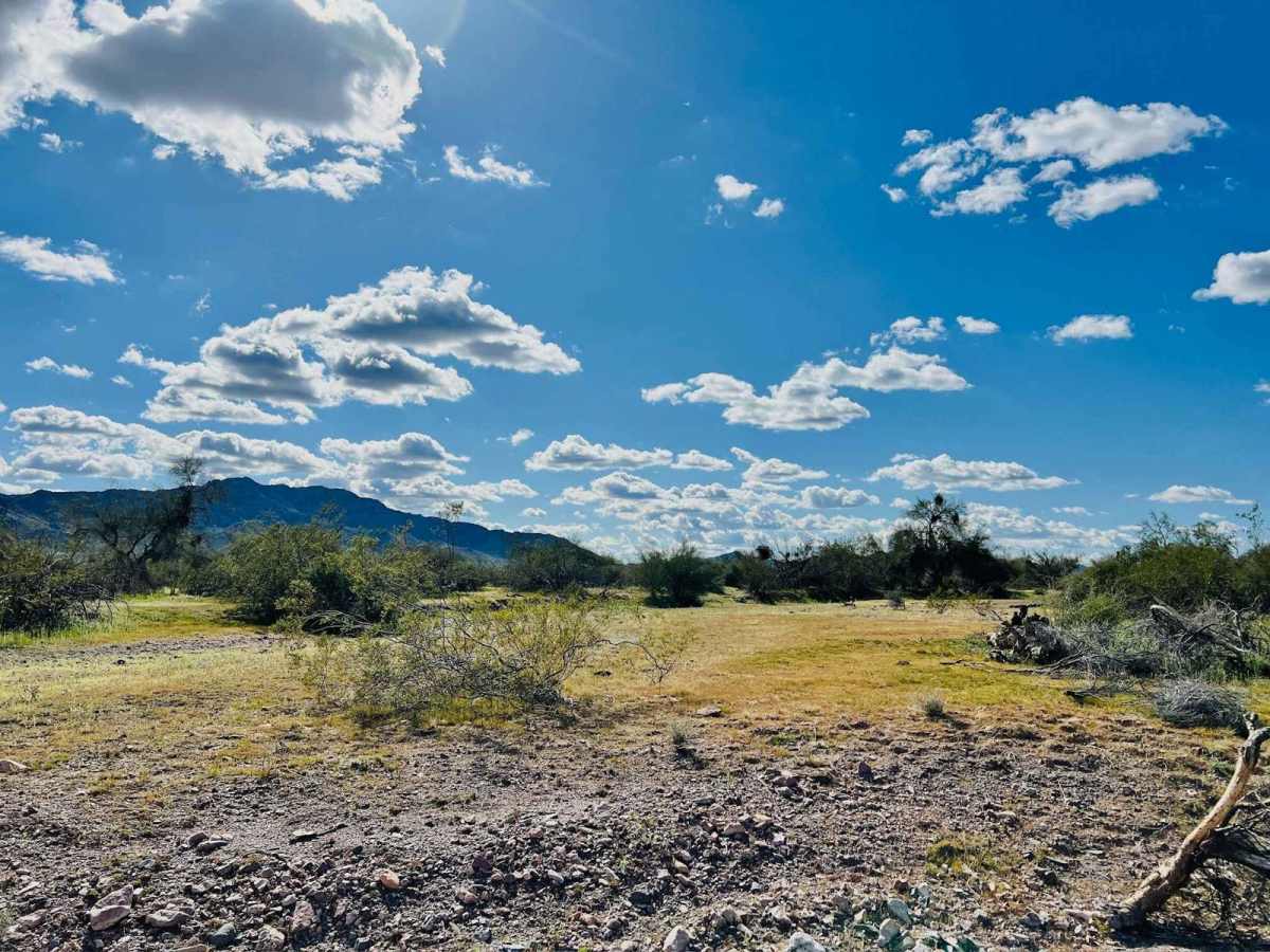 Coyote Wash West photo 4