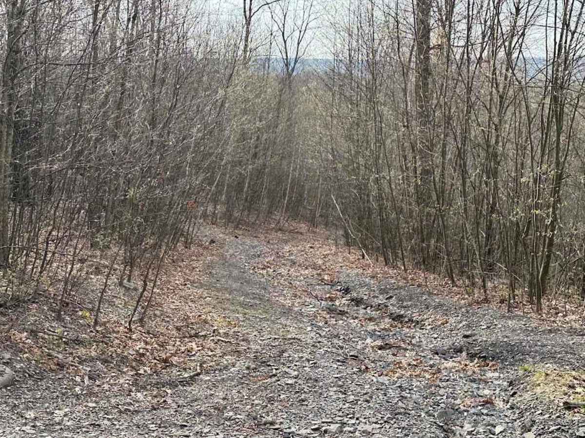 Darkwater 76 trail photo