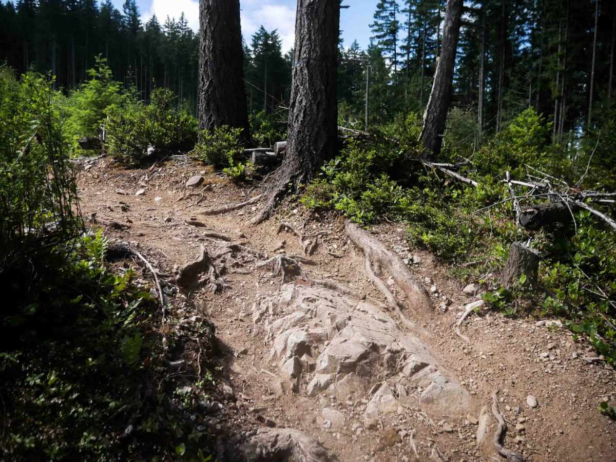 Plummer trail photo