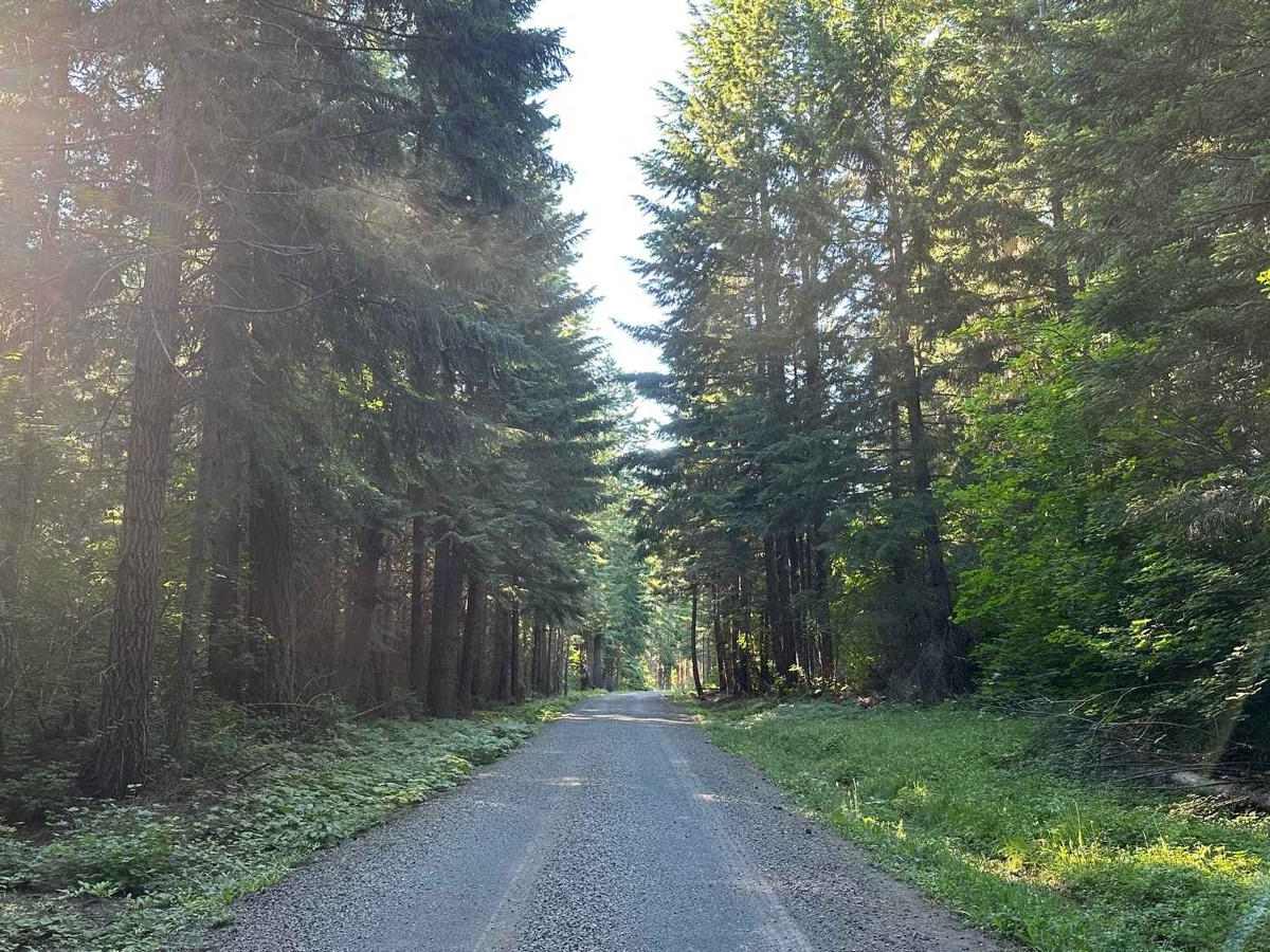 Lower Buck Creek N713 photo 4