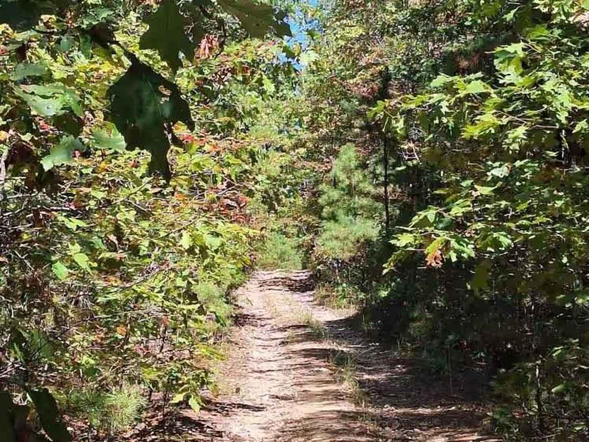 Highline FSR 2472 photo 5