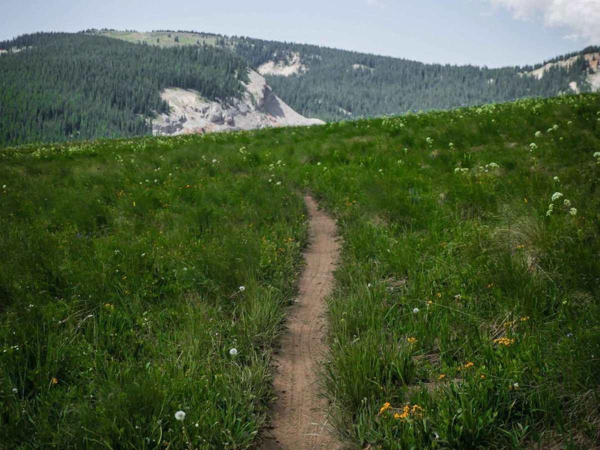 Cement Mountain trail photo