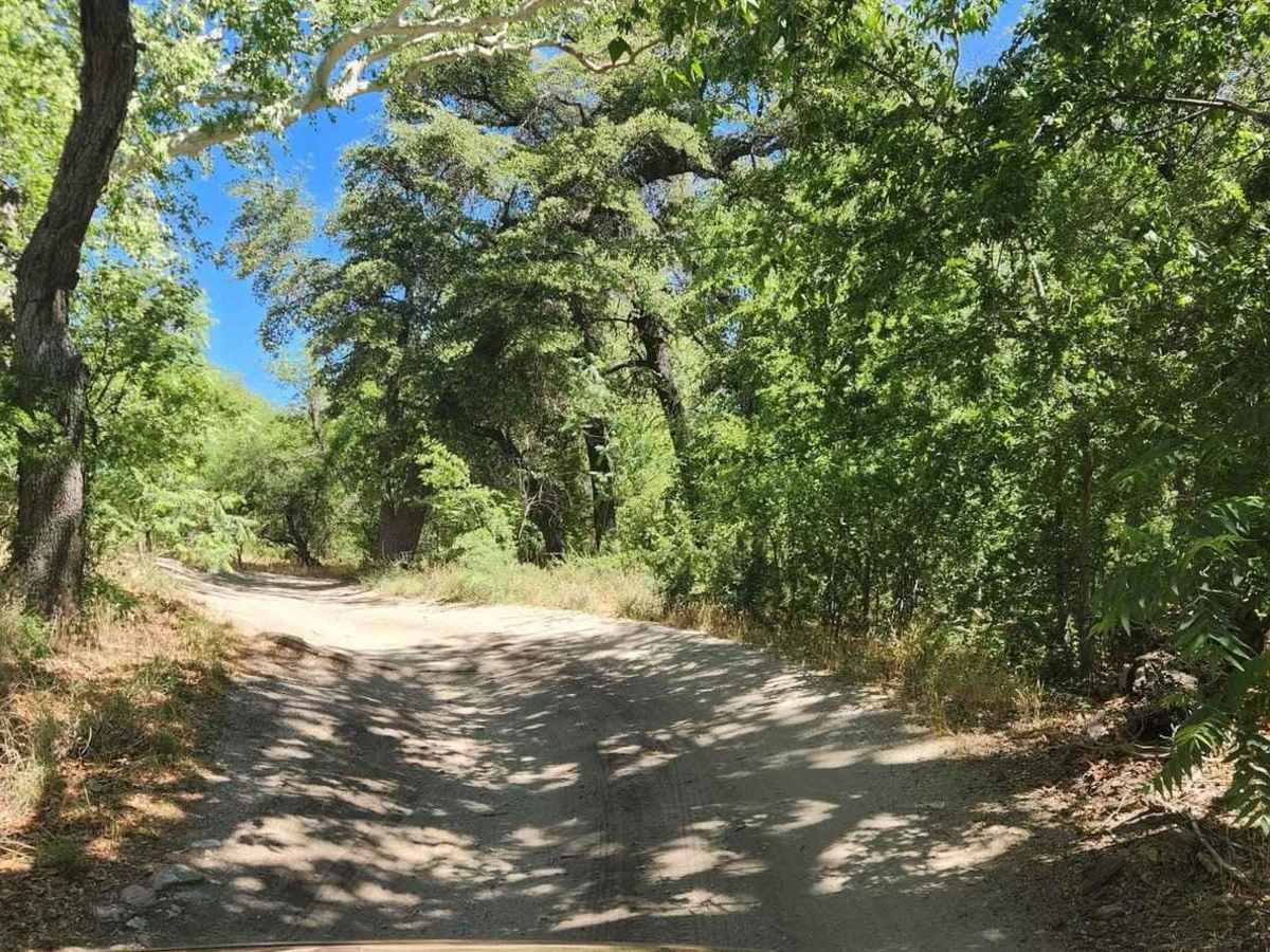 Turkey Creek Springs FR 4408 photo 5