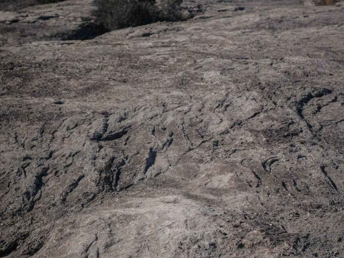 Green River Cutoff ATV photo 4
