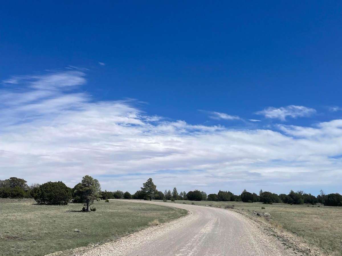 Ashurst Lake trail photo