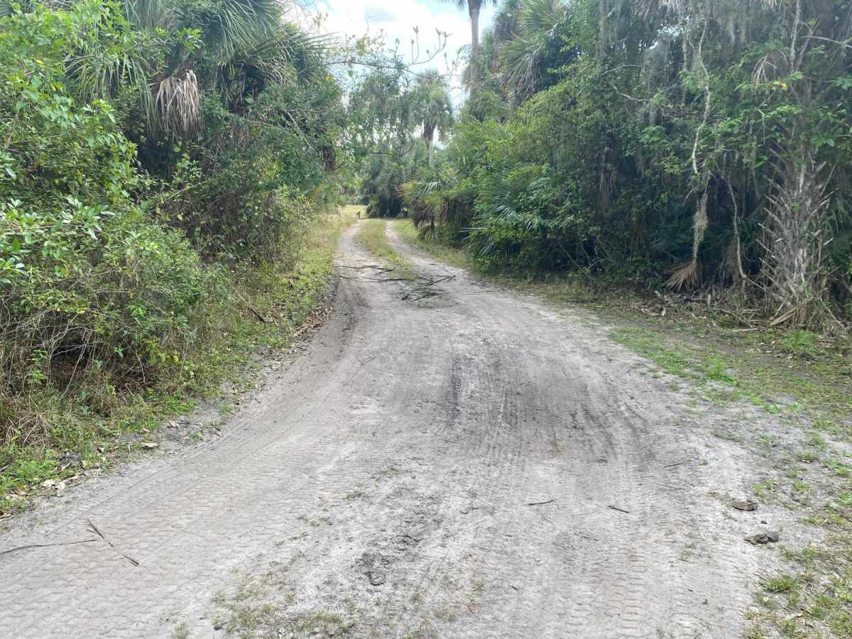 Road 6 photo 2