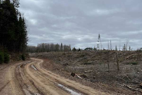 Wolf River to Junction 22A