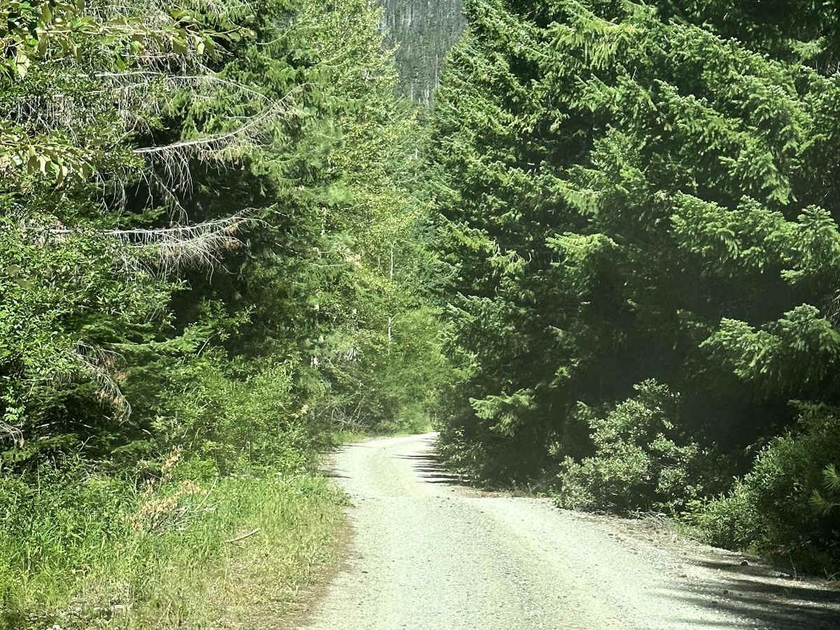 Round Mountain Trail photo 5