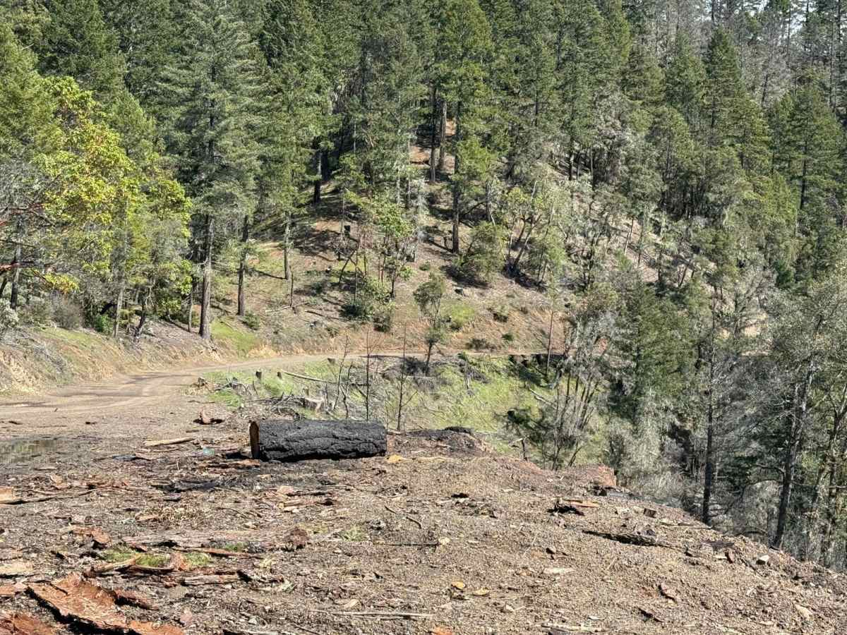Hellgate Recreation Site photo 5