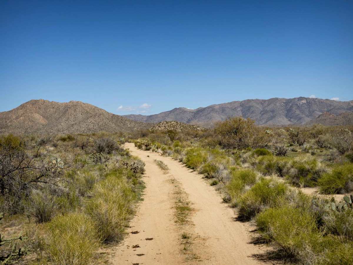Charlie's Loop photo 6