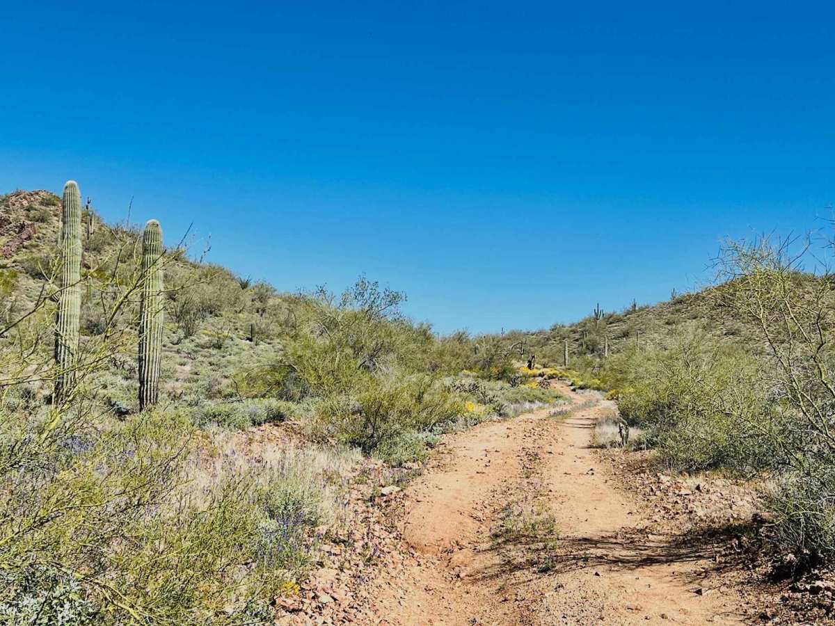 Jimmie Wash Access Trail photo 4