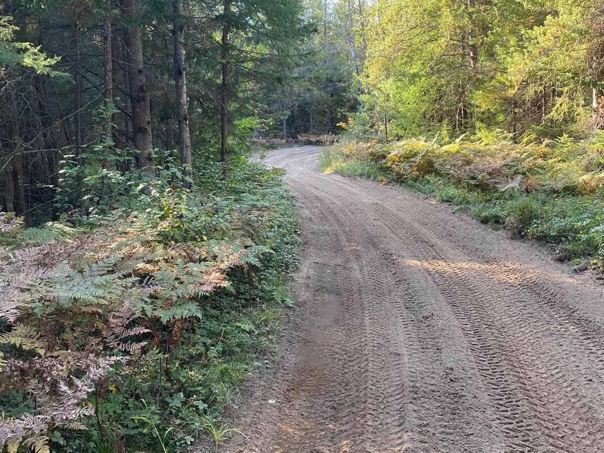 Trail 413 Fletcher - Part 6 photo 6