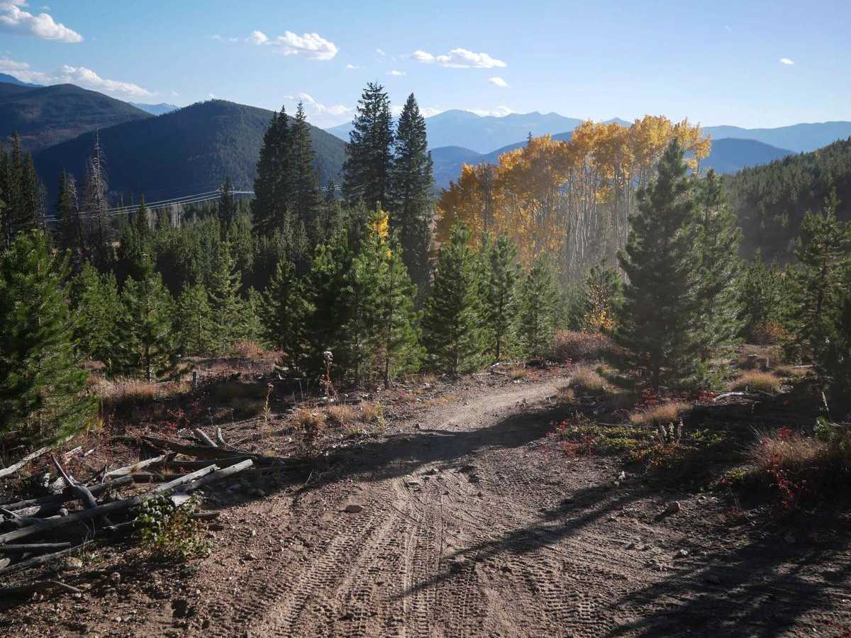 7 of 9 Connector trail photo